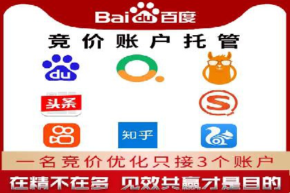 SEM竞价托管专家分享：实战案例精选